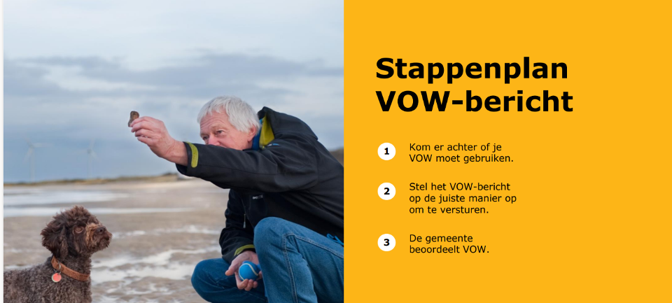 Stappenplan VOW